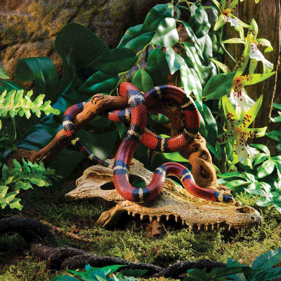 Exo Terra Cr&aacute;neo de Cocodrilo Decoraci&oacute;n para terrarios, , large Imagen numero 3